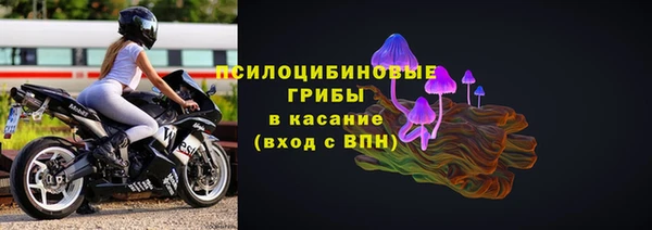 спайс Богданович